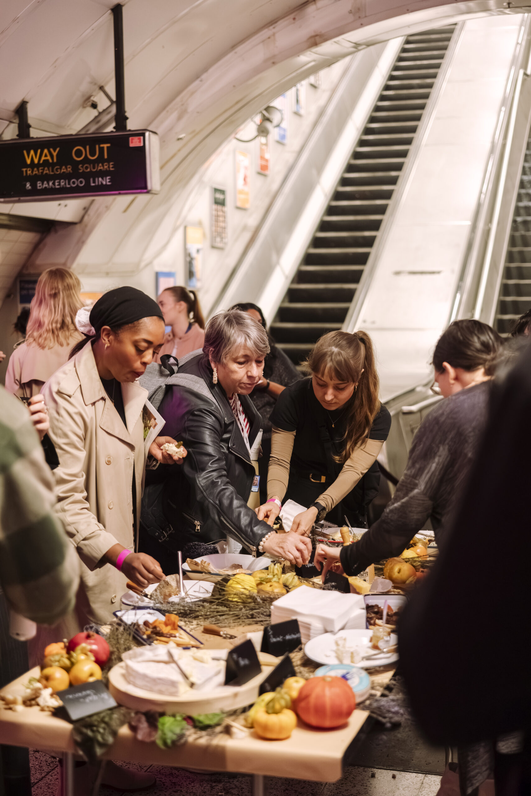 06_Cheese Fashion Show