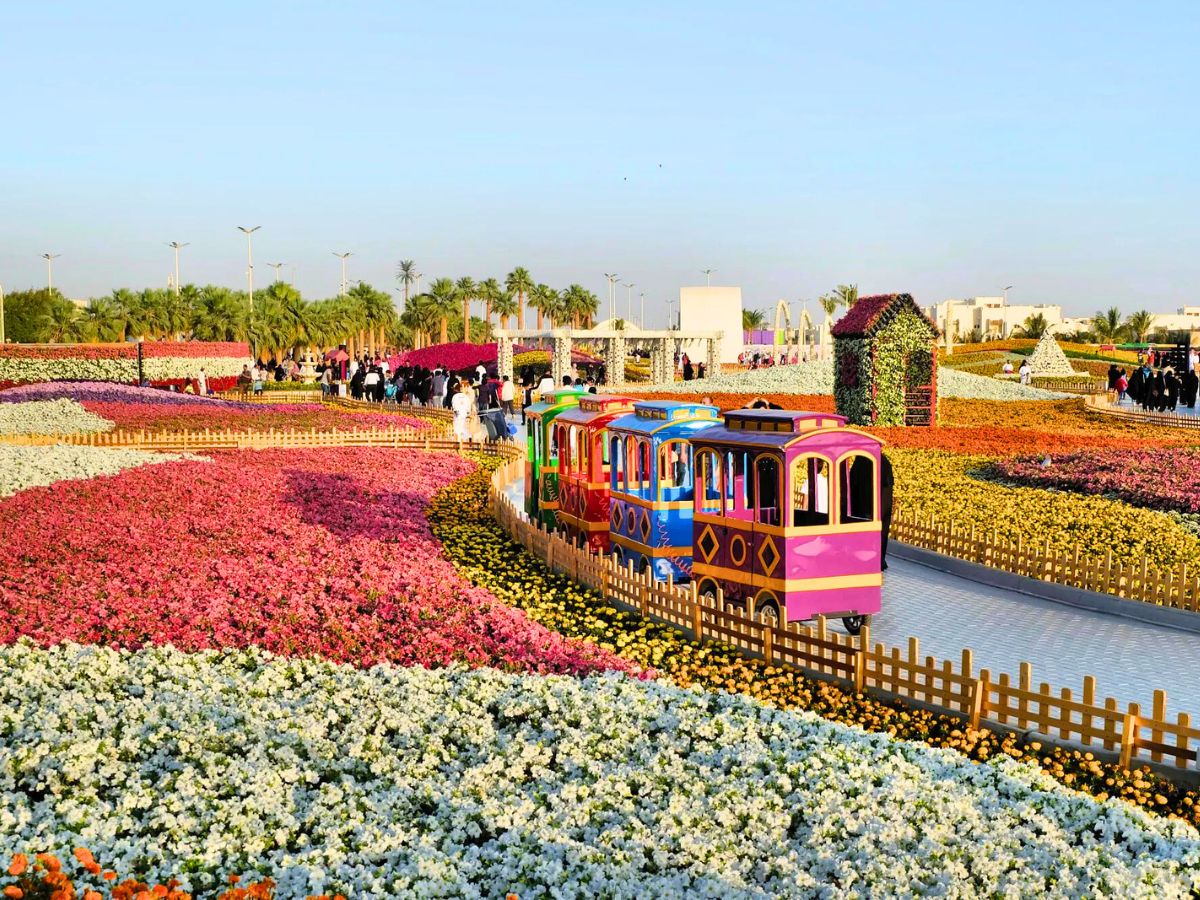 little colorful train in fields of pretty flowers