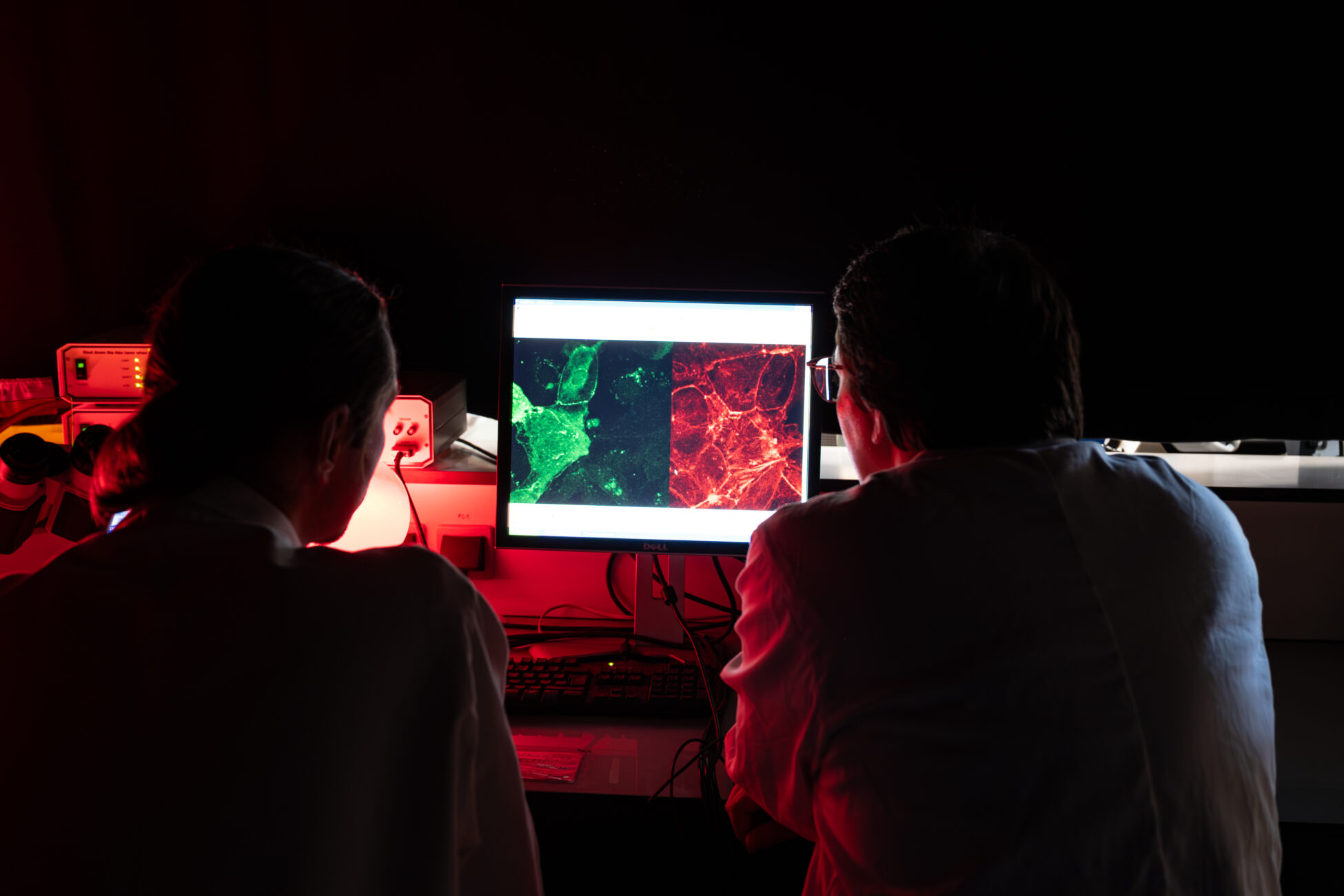 Gergo Gogl, biochemist