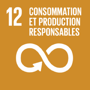 odd onu 12 - Consommation et production responsables