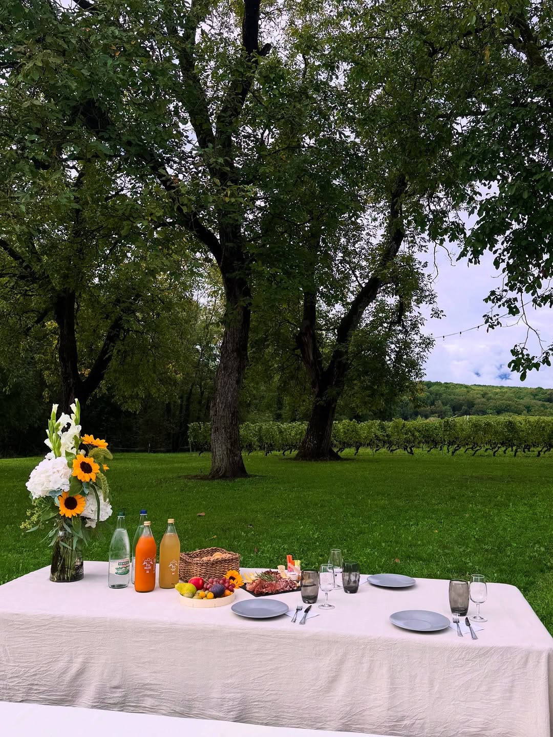 Picnic in the countryside for VIP clients in Switzerland