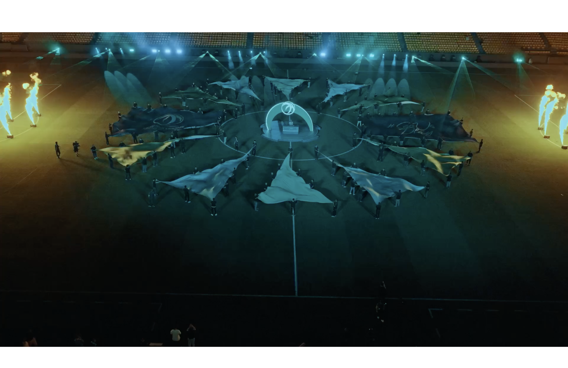 Flags being carried on football field