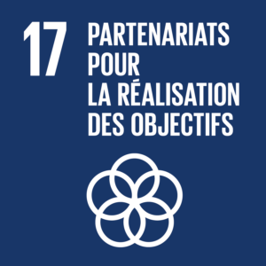 odd onu 17 - Partenariats pour la réalisation des objectifs